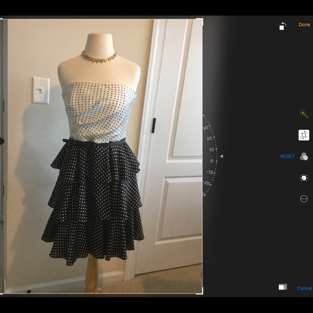 White House Black Market sexy sophisticated dress.